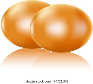 Two painted eggs isolated on white, vector easter symbol