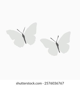Two pair white butterfly freehand drawing vector