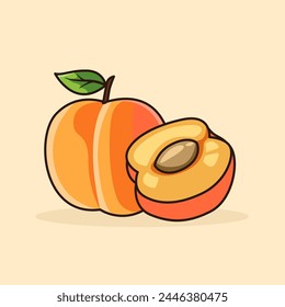 Dos pares de Ilustración vectorial de frutos de albaricoque