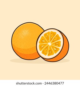 Two pairs of oranges fruit vector illustration