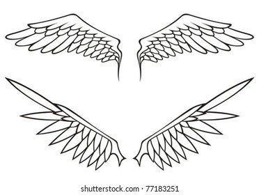 Two pairs of white open angel or bird wings isolated on white background.