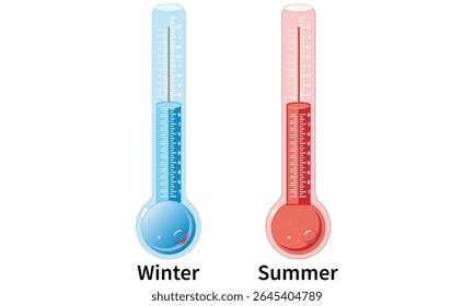 Two pairs of Winter and Summer thermometers, illustrating temperature Vector image Design.