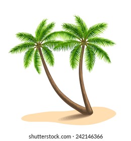 Dos palmeras aisladas de fondo blanco