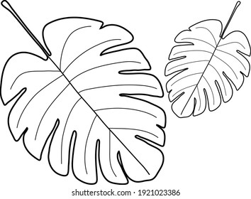 Two palm leaves vector design