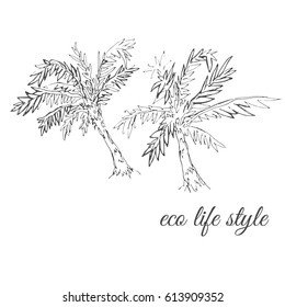 Two palm trees drawn in sketch style/Image of linear palm trees for use in design, web site, packing, textile, fabric