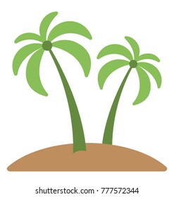 
Two palm trees grown on a piece of land 
