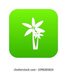 Two palm trees icon digital green for any design isolated on white vector illustration