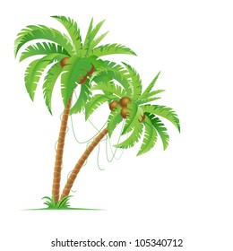 Two palm trees. Illustration for design on white background