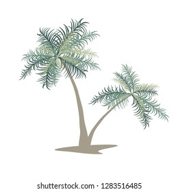 Two palm trees. Isolated vector image. Eps 10