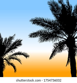 Two palm trees silhouettes and sunset. Vector image