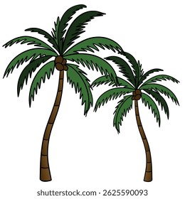 Two palm trees. Tropical island plant beach. Summer time in paradise. Exotic flora