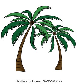 Two palm trees. Tropical island plant beach. Summer time in paradise. Exotic flora