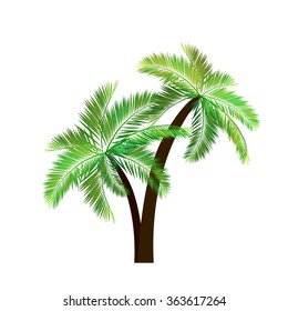 Two palm trees. Vector