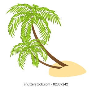 Two palms isolated on a white background. Vector illustration.
