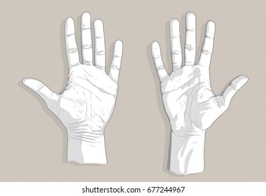Two palms sketch
