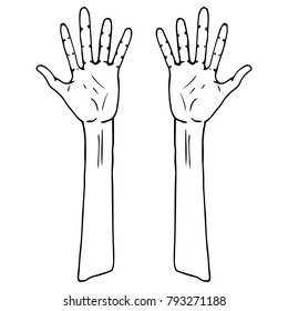 Two palms. Vector illustration. Vector palm of hands. Symbol of the Indian Holiday Holi.