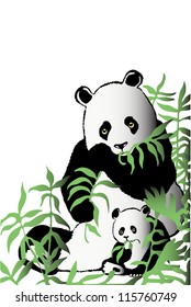 Two pandas in bamboo thickets
