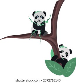 two pandas climbing a tree