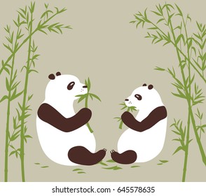 Two pandas eat bamboo in the bamboo forest