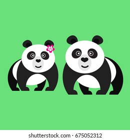 Two pandas on a green background