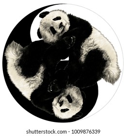 two pandas are on the sign Yin-Yang sketch vector graphics color picture