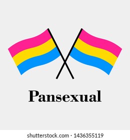 Two pansexual flags on a white background, vector