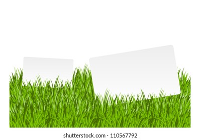 Two paper banners in green grass