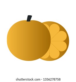 two parallel oranges