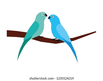 two parrots bird on branch