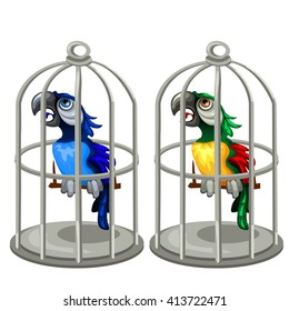Two parrots in a cage. Vector illustration.