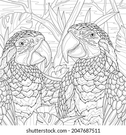 
Two parrots macaw.Coloring book antistress for children and adults. Illustration isolated on white background.Zen-tangle style. Hand draw