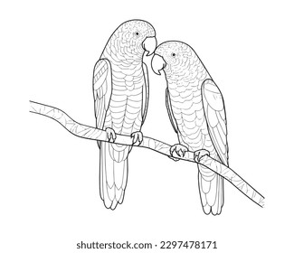 Two parrots on a tree branch in line drawing art for colouring book.