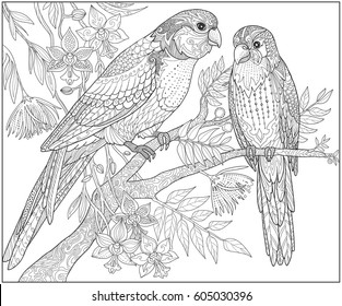 Two parrots sit on a branch in the jungle, adult coloring book page. Doodle tropical birds vector illustration.