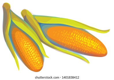 Two partially husked ears of corn lying beside each other at an an angle