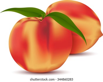 Two peach fruits with leaf isolated on white background, with clipping path