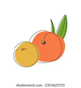 Two peaches hand drawn. Abstract shape fruit inspiration. Vector illustration, flat design