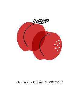 Two peaches isolated on white. Vector illustration