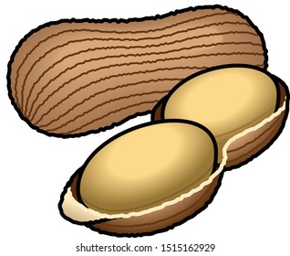 Two peanut / ground nut pods with one shelled showing peanuts.