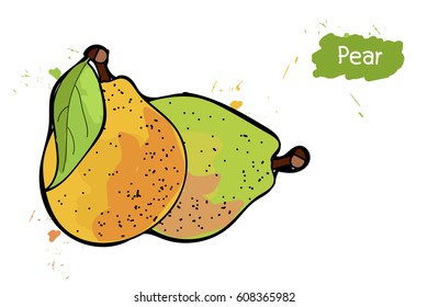 two pears with leaves on a white background with splashes. Hand drawing Doodle