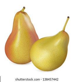 Two pears on white background. Vector illustration. Mesh