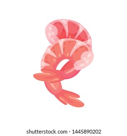 Two peeled shrimps. Vector illustration on white background.