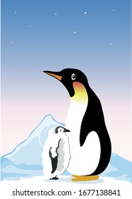 Two peguins big and small