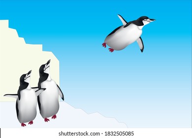 two penguin see to a flying penguin.