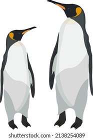 Dos pingüinos, ilustración, vector sobre un fondo blanco.