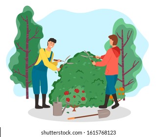 Two people sculpturing shrub using garden secateurs. Green bushes with flowers growth in garden, farmers caring about plant. Gardeners work on lawn. Vector illustration of farming in flat style