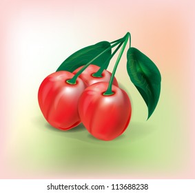 Two perfect sweet cherries