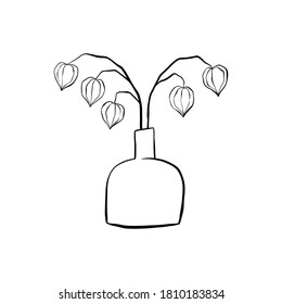 Two physalis branches in vase, vector abstract illustration. Hand drawn doodle clipart isolated on white background. Good for icons, label, poster, print, menu.