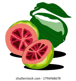 two pieces of guava with leaves vector