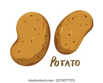 Two pieces of raw whole potato cooking ingredients food vector illustration isolated on landscape horizontal white background. Simple flat cartoon art styled vegetable drawing.
