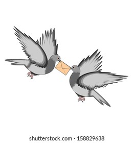 Two pigeons with a letter on a white background. Vector-art illustration